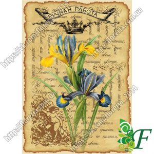 Бирка открытка 5 х 7 см Ботанический ирис за 100 шт БЦ-39