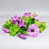 Лианы, цепочки_Маргаритка сиреневая