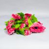 Лианы, цепочки_Маргаритка малиновая