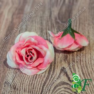 Головка розы Мускат малиновый ГолМускат-2