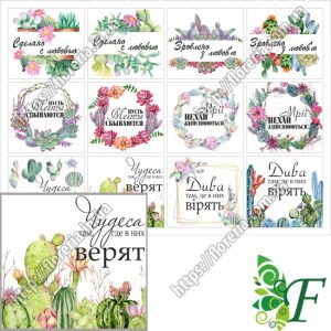 Бирка-открытка 4.5х5см 12 шт(лист) Кактусы БЦ-А5-82