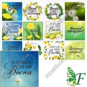 Бирка-открытка 4.5х5см 12 шт(лист) Одуванчики БЦ-А5-81