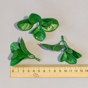 Самшит зеленый Крупные листья за 100 грамм Самш-12