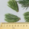 Ветка ели длина 6 см. за 20 шт