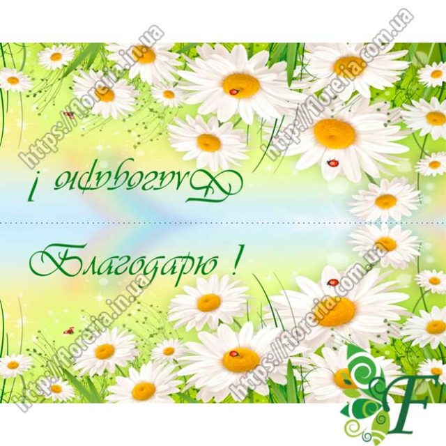Клапан для пакетов 10х8 см. за 10 шт. Благодарю ( ромашковое поле )