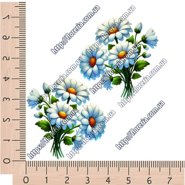 ТермоНаклейки Букет ромашек за 2 шт