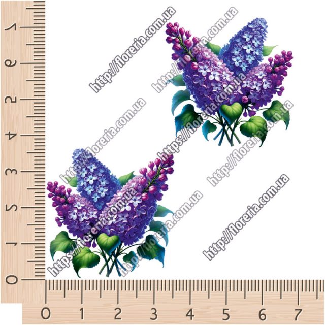 ТермоНаклейки Букет сирени за 2 шт