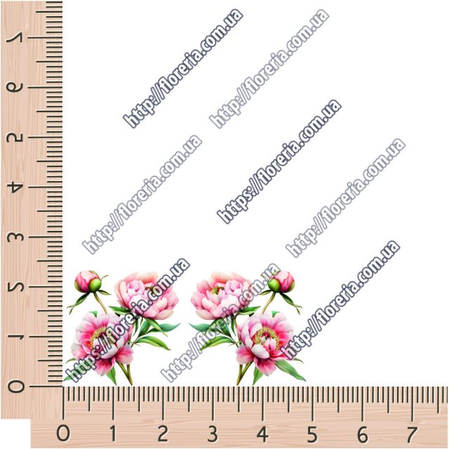 ТермоНаклейки Букет пионов малый за 2 шт