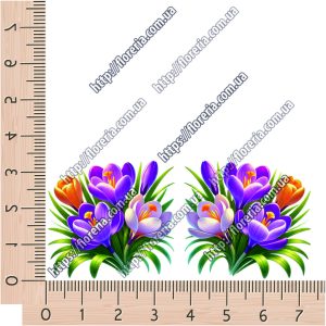 ТермоНаклейки Букет крокусов за 2 шт