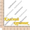 ТермоНаклейки Классная руководительница желтый цвет за 2 шт