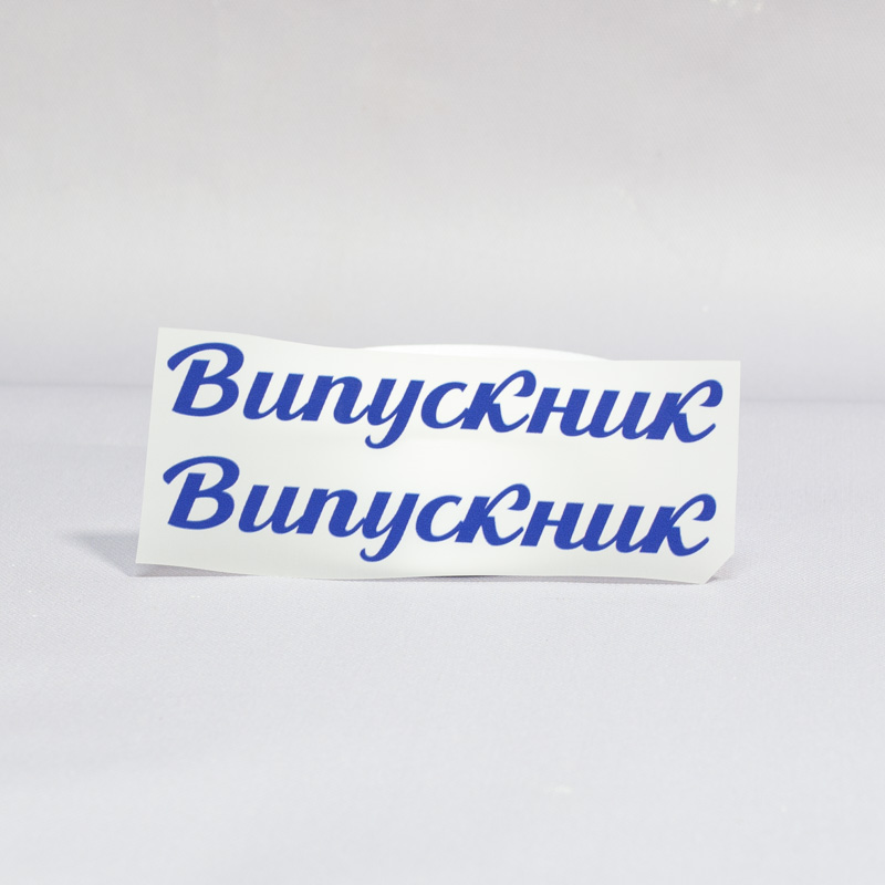 ТермоНаклейки Выпускник синий цвет за 2 шт