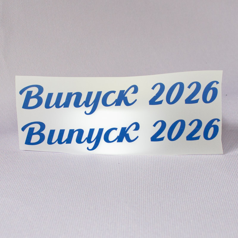 ТермоНаклейки Выпуск 2026 синий цвет за 2 шт