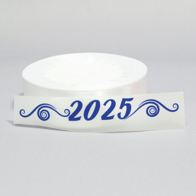 ТермоНаклейки 2025 синий цвет за 2 шт