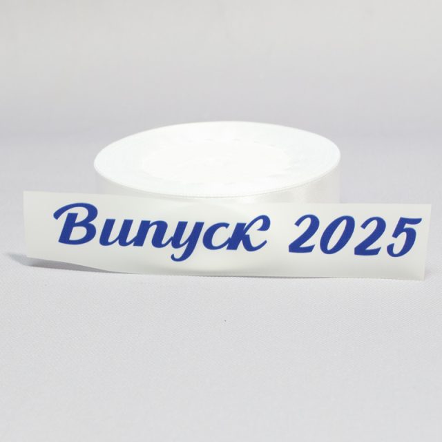 ТермоНаклейки Выпуск 2025 синий цвет за 2 шт