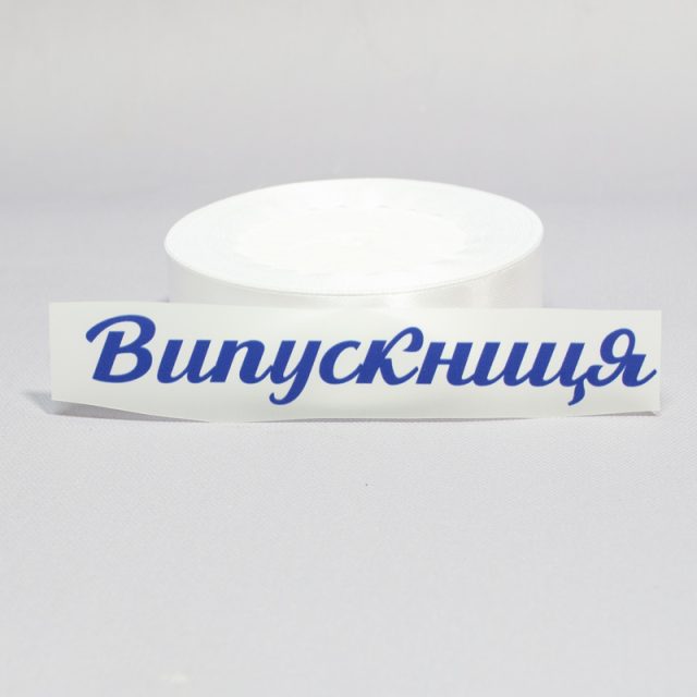 ТермоНаклейки Выпускница синий цвет за 2 шт