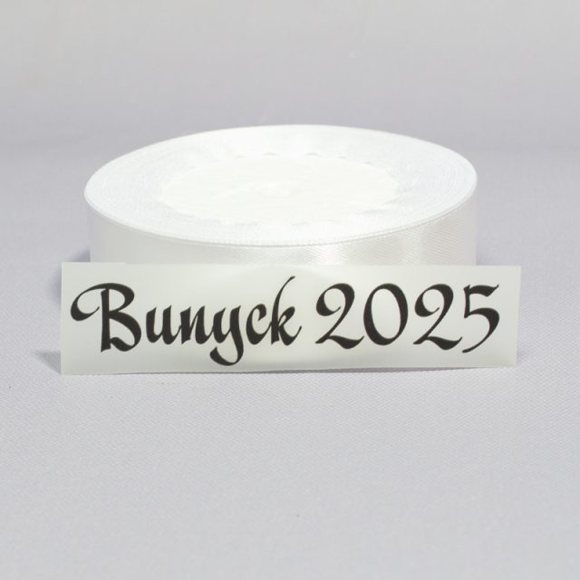 ТермоНаклейки Выпуск 2025 черный цвет за 2 шт