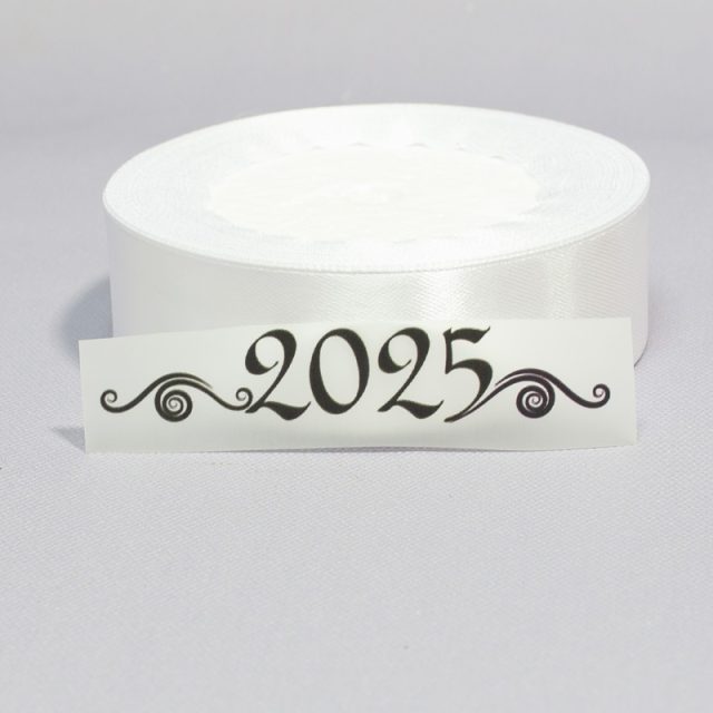 ТермоНаклейки 2025 черный цвет за 2 шт