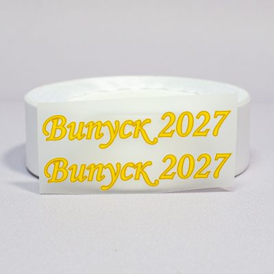 ТермоНаклейки Выпуск 2027 желтый цвет за 2 шт