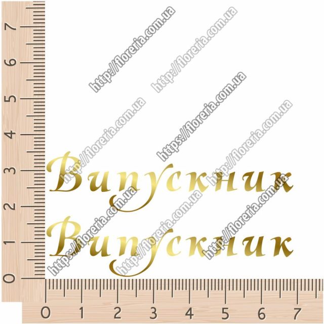 ТермоНаклейки ЗОЛОТО Выпускник за 2 шт
