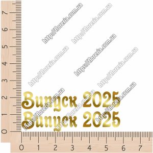 ТермоНаклейки ЗОЛОТО Выпуск 2025 за 2 шт