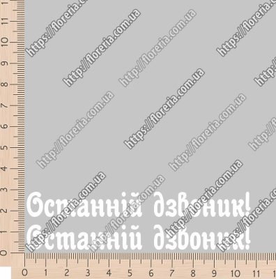 ТермоНаклейки Последний звонок БЕЛЫЙ за 2 шт