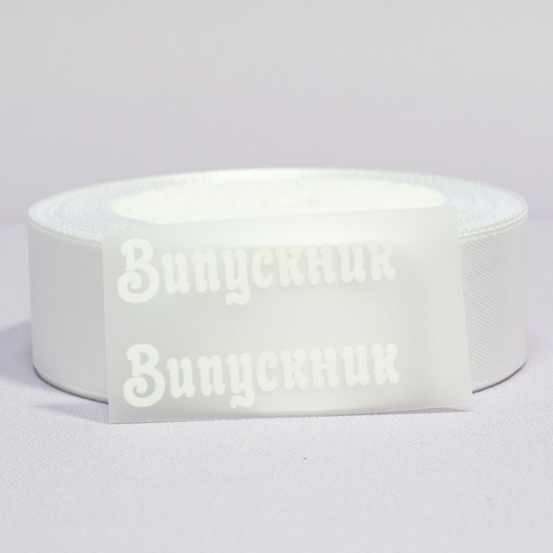 ТермоНаклейки Выпускник БЕЛЫЙ за 2 шт