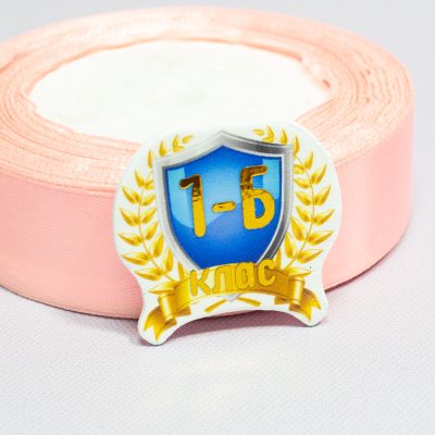Кабошон пластиковый Зеркальная вставка Герб и Номер класса