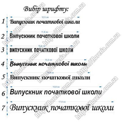 Наклейка из ТермоПленки Зеркальная Выпускник начальной школы за 2 шт
