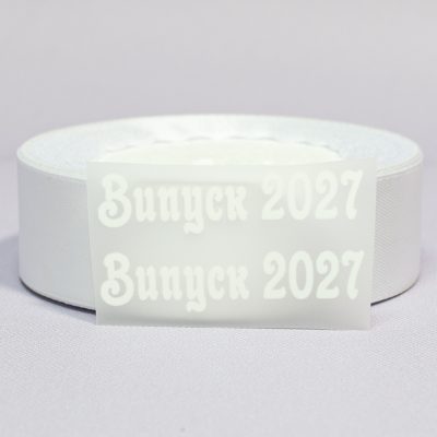 ТермоНаклейки Выпуск 2027 БЕЛЫЙ за 2 шт